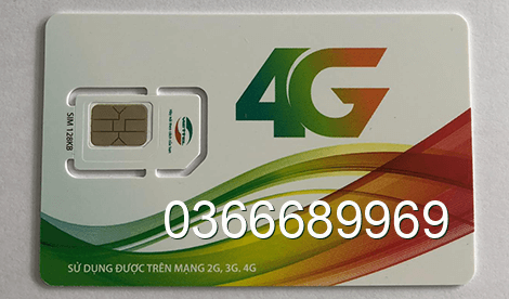 sim 0366689969