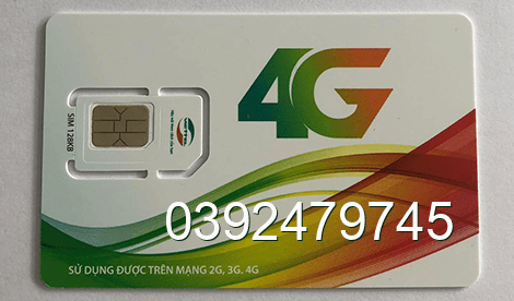 sim 0392479745