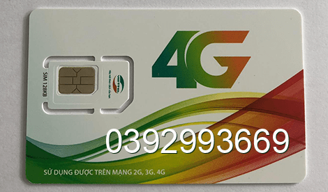 sim 0392993669