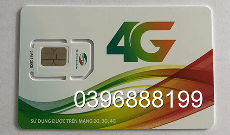 sim 0396888199