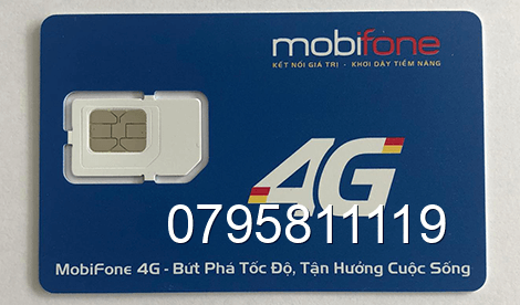 sim 0795811119