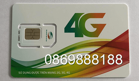 sim 0869888188